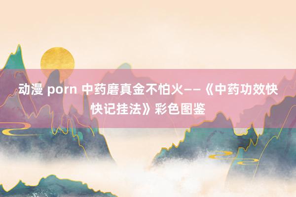 动漫 porn 中药磨真金不怕火——《中药功效快快记挂法》彩色图鉴