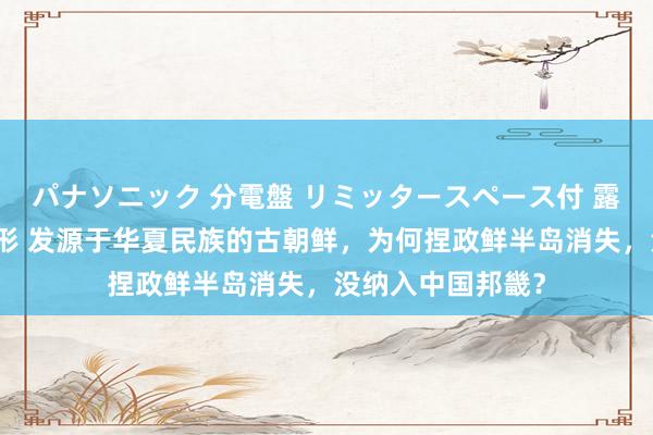 パナソニック 分電盤 リミッタースペース付 露出・半埋込両用形 发源于华夏民族的古朝鲜，为何捏政鲜半岛消失，没纳入中国邦畿？