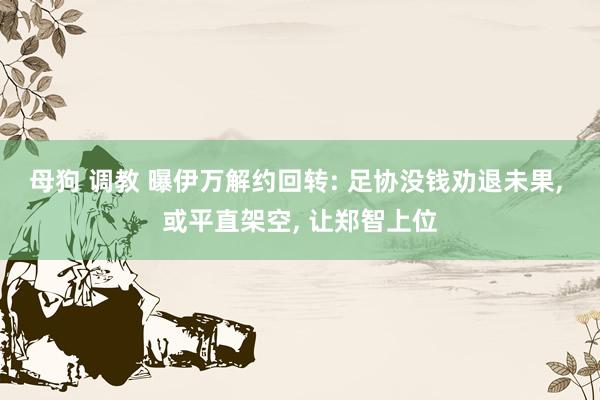 母狗 调教 曝伊万解约回转: 足协没钱劝退未果， 或平直架空， 让郑智上位