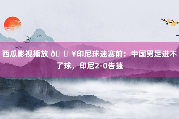 西瓜影视播放 🎥印尼球迷赛前：中国男足进不了球，印尼2-0告捷