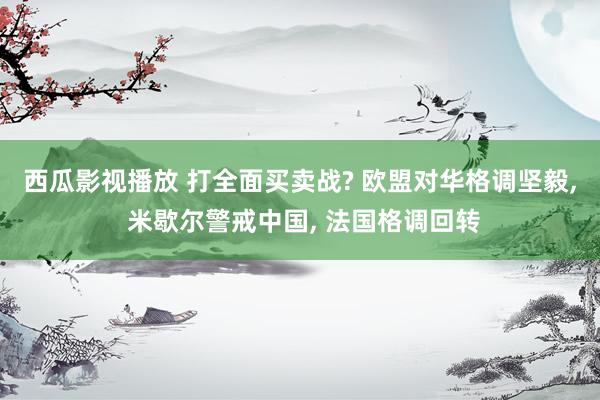 西瓜影视播放 打全面买卖战? 欧盟对华格调坚毅， 米歇尔警戒中国， 法国格调回转