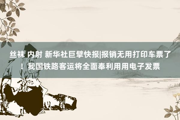 丝袜 内射 新华社巨擘快报|报销无用打印车票了！我国铁路客运将全面奉利用用电子发票