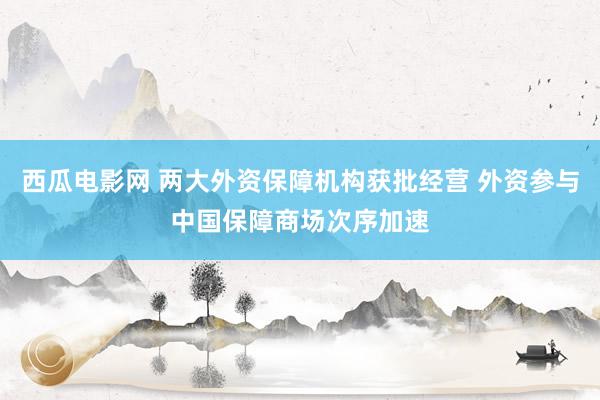 西瓜电影网 两大外资保障机构获批经营 外资参与中国保障商场次序加速