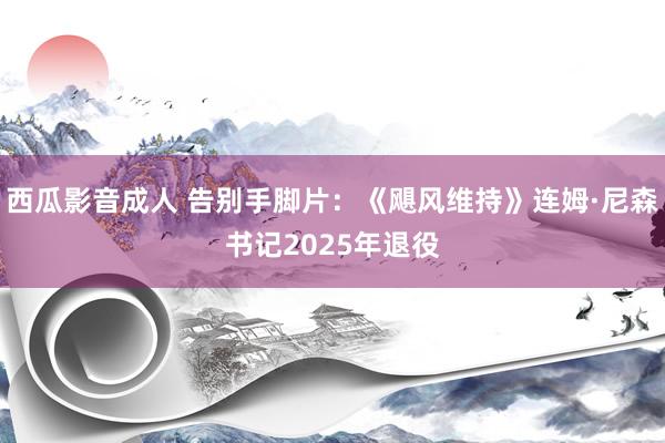 西瓜影音成人 告别手脚片：《飓风维持》连姆·尼森书记2025年退役