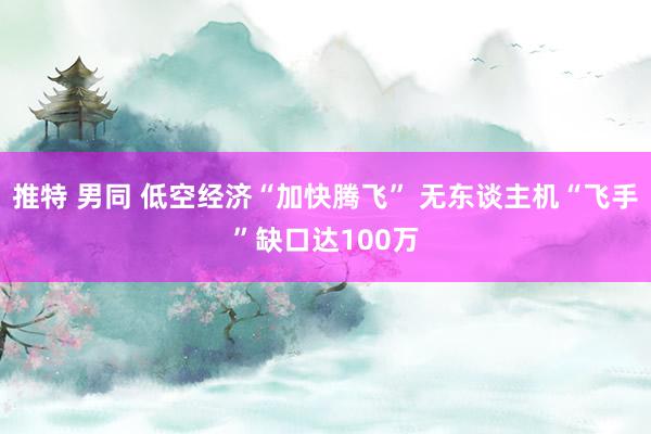 推特 男同 低空经济“加快腾飞” 无东谈主机“飞手”缺口达100万