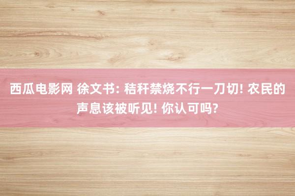 西瓜电影网 徐文书: 秸秆禁烧不行一刀切! 农民的声息该被听见! 你认可吗?