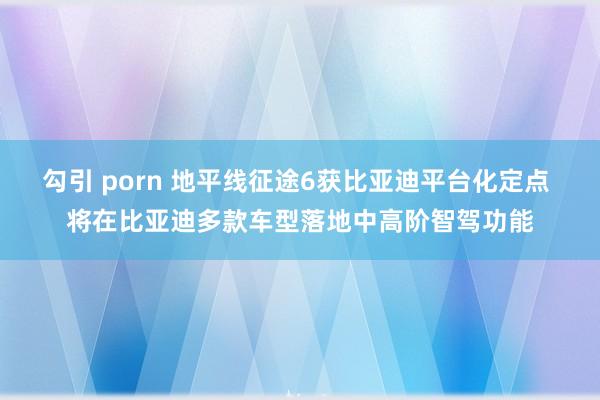 勾引 porn 地平线征途6获比亚迪平台化定点 将在比亚迪多款车型落地中高阶智驾功能