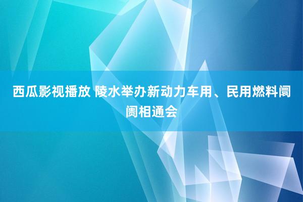 西瓜影视播放 陵水举办新动力车用、民用燃料阛阓相通会