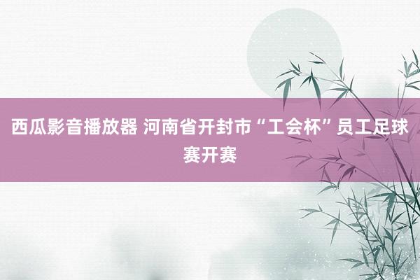 西瓜影音播放器 河南省开封市“工会杯”员工足球赛开赛