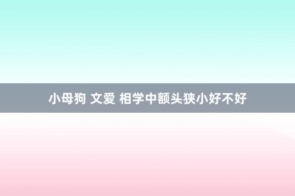 小母狗 文爱 相学中额头狭小好不好