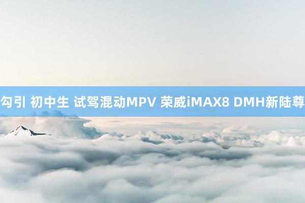 勾引 初中生 试驾混动MPV 荣威iMAX8 DMH新陆尊