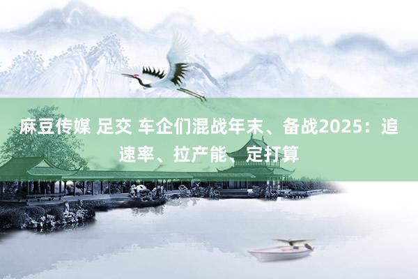 麻豆传媒 足交 车企们混战年末、备战2025：追速率、拉产能、定打算