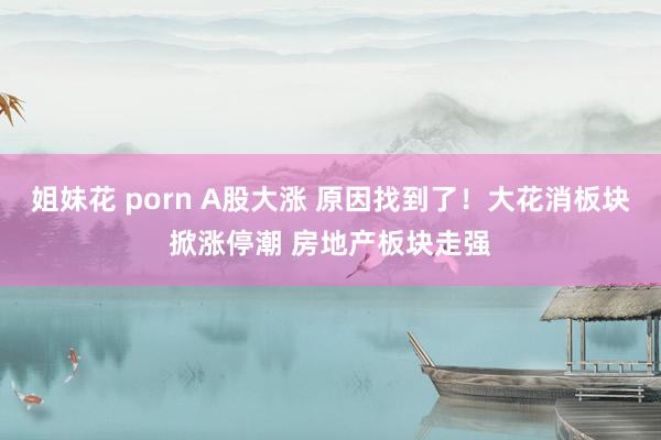 姐妹花 porn A股大涨 原因找到了！大花消板块掀涨停潮 房地产板块走强