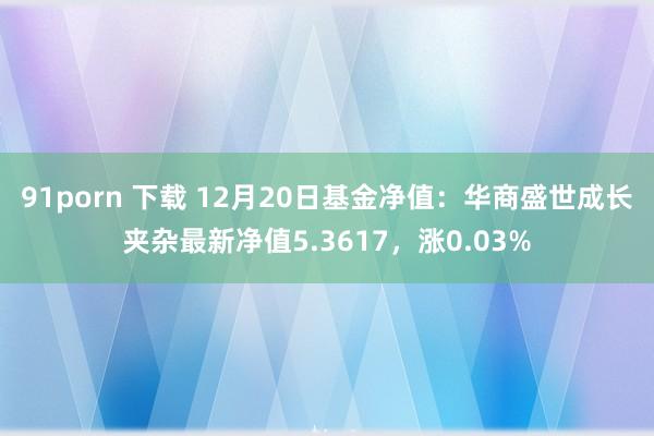 91porn 下载 12月20日基金净值：华商盛世成长夹杂最新净值5.3617，涨0.03%