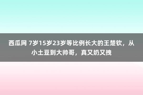 西瓜网 7岁15岁23岁等比例长大的王楚钦，从小土豆到大帅哥，真又奶又拽