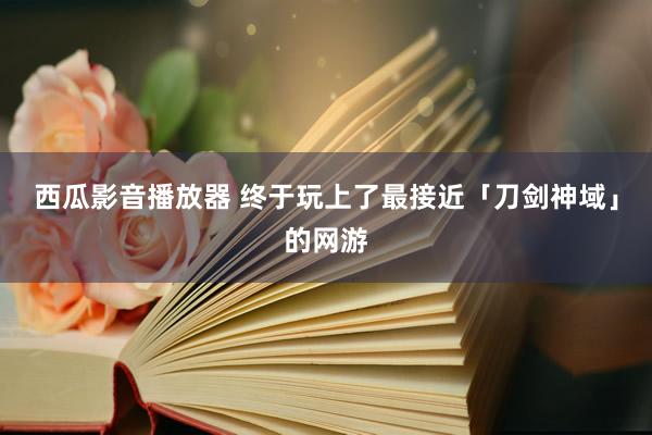 西瓜影音播放器 终于玩上了最接近「刀剑神域」的网游