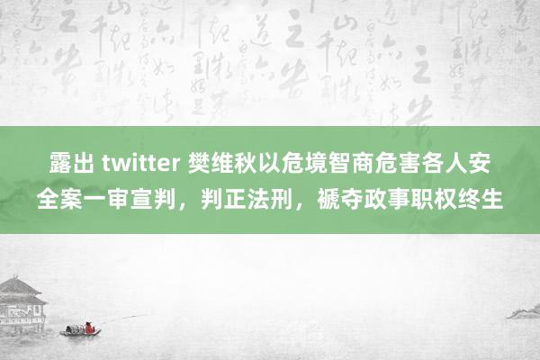 露出 twitter 樊维秋以危境智商危害各人安全案一审宣判，判正法刑，褫夺政事职权终生