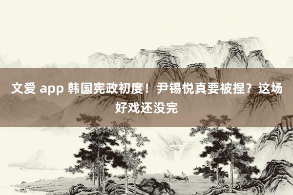 文爱 app 韩国宪政初度！尹锡悦真要被捏？这场好戏还没完