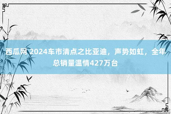 西瓜网 2024车市清点之比亚迪，声势如虹，全年总销量温情427万台