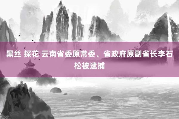 黑丝 探花 云南省委原常委、省政府原副省长李石松被逮捕