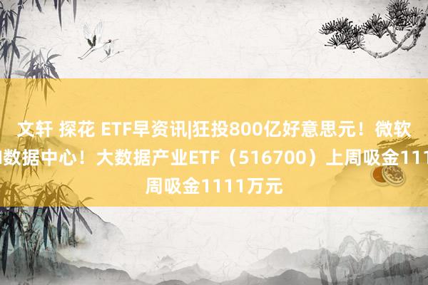 文轩 探花 ETF早资讯|狂投800亿好意思元！微软确立AI数据中心！大数据产业ETF（516700）上周吸金1111万元