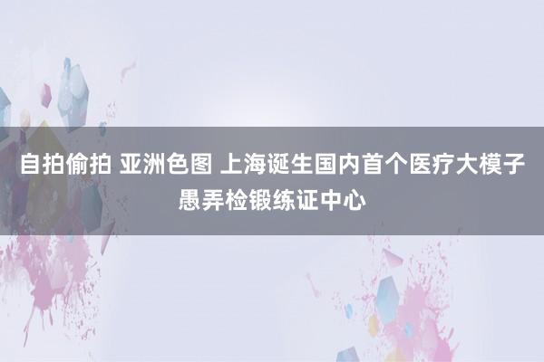 自拍偷拍 亚洲色图 上海诞生国内首个医疗大模子愚弄检锻练证中心