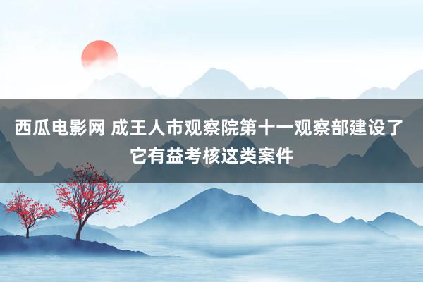 西瓜电影网 成王人市观察院第十一观察部建设了 它有益考核这类案件