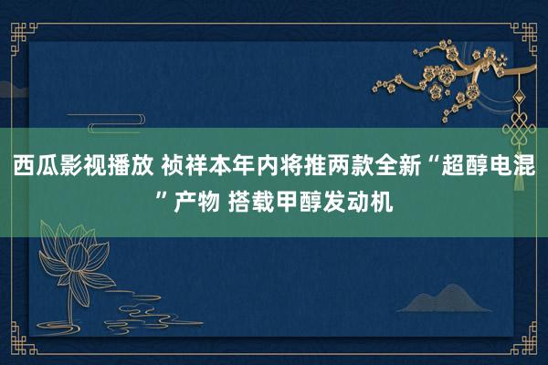 西瓜影视播放 祯祥本年内将推两款全新“超醇电混”产物 搭载甲醇发动机