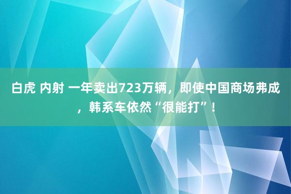 白虎 内射 一年卖出723万辆，即使中国商场弗成，韩系车依然“很能打”！