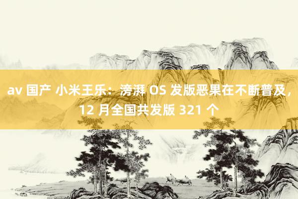 av 国产 小米王乐：滂湃 OS 发版恶果在不断普及，12 月全国共发版 321 个