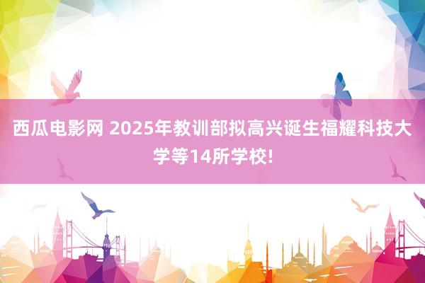 西瓜电影网 2025年教训部拟高兴诞生福耀科技大学等14所学校!