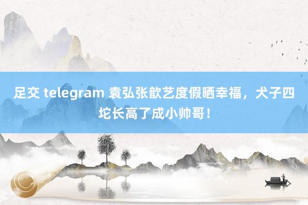 足交 telegram 袁弘张歆艺度假晒幸福，犬子四坨长高了成小帅哥！